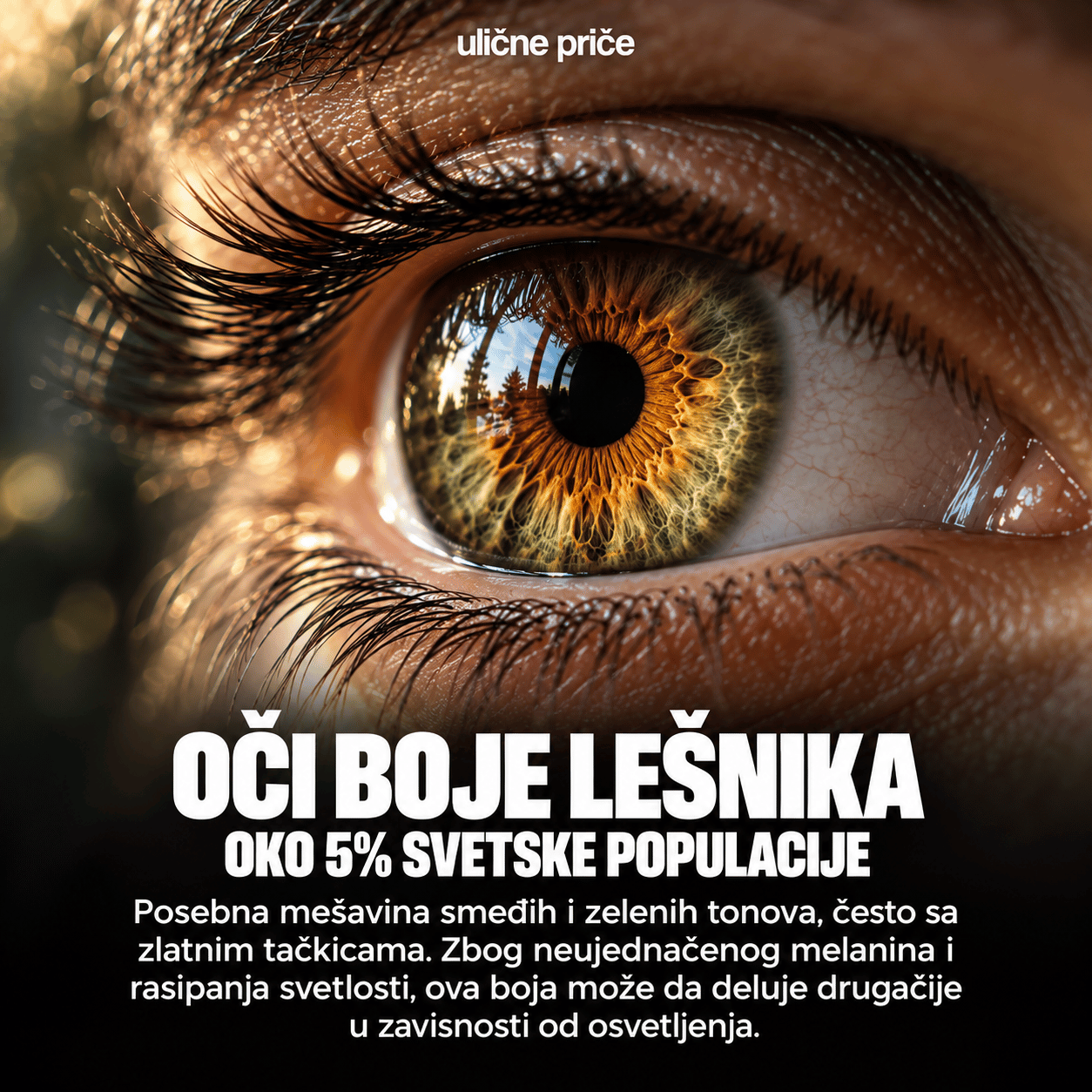 Koja je najređa boja očiju? Od smeđih i plavih do zelenih, sivih i heterohromije